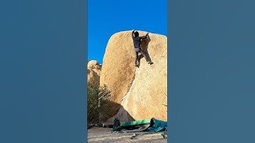 The Chube V2 - Joshua Tree