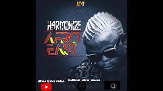 harmonize ft lady jay dee-wife lyrics video