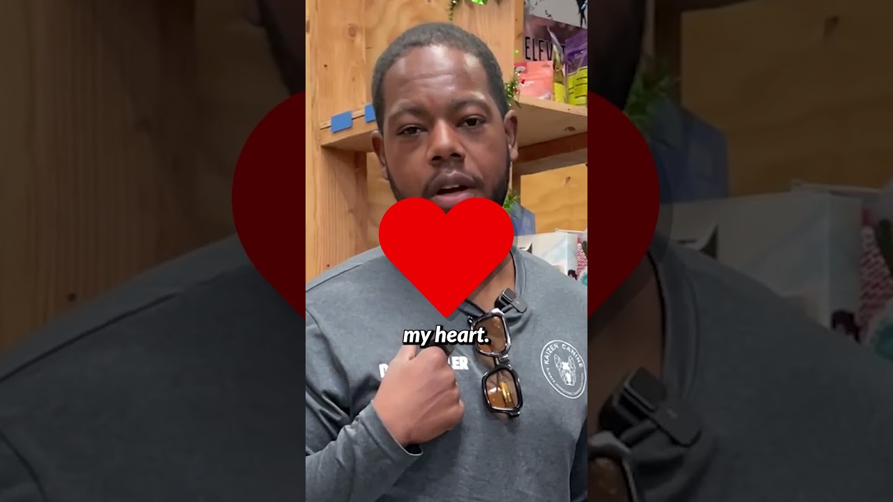 Who else’s dog dissects stuffed toys like they’re in science class?