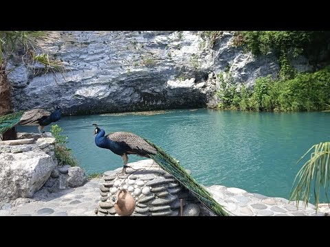 ჩემი თვალით დანახული აფხაზეთი