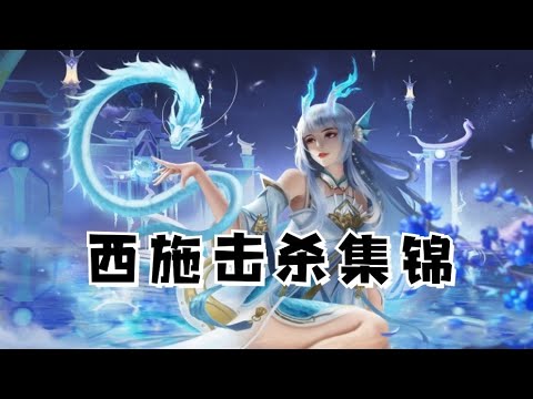 天花板预判！国服西施击杀集锦。