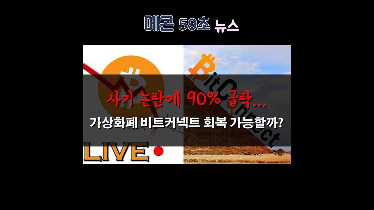 59초뉴스] 사기 논란에 90% 급락... 가상화폐 비트커넥트 회복 가능할까? - 시장경제 - Market Economy News