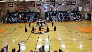 RHS Dance Team- Game Performance before States (2016-2017)
