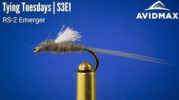 How to tie an RS-2 Emerger | AvidMax Fly Tying Tuesday Tutorials