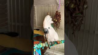 Download Lagu Played MP3