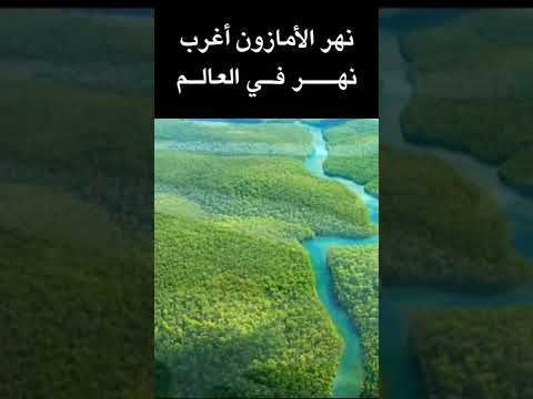 فيديو: هل نهر الأمازون تعرج؟