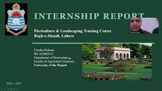 Internship Presentation