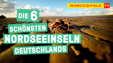 Welche Ostfriesische Insel ist am beliebtesten?