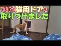 【DIY】猫用ドアを取りつけました～I installed a cat door