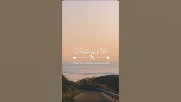 #محمود_الشحات_أنور #سورة_الإنفطار #اكسبلور #duet #لايك #قرآن #قران_كريم #quran #ترند #دويتو