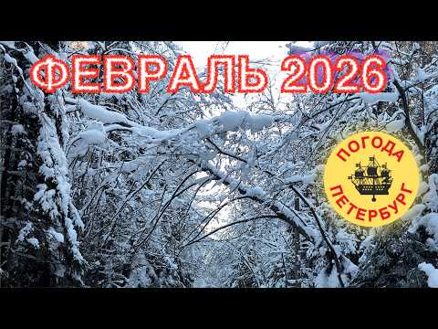 2026.02.25. Погода Петербург. 21:44. -8°. Домой. Похолодало.
