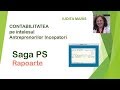 6. Saga PS - Rapoarte
