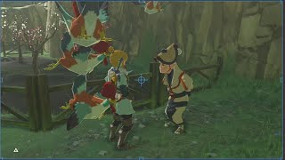 BotW - Cuccos.. frozen in time?