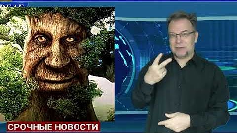 Распознавание жестов(дактиль) / Sign language recognition