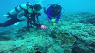 GoPro 小琉球潛水 20141123-4