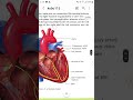 Body Circulation Chapter Neet