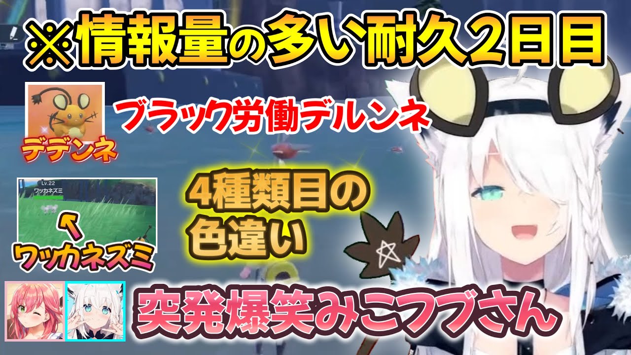 【白上フブキ】突発みこフブさんや4つ目の色違い等、昼夜と乱獲してもまだまだ赤い金コイ耐久2日目の見所まとめ【切り抜き/ホロライブ/さくらみこ/ポケモンSV】