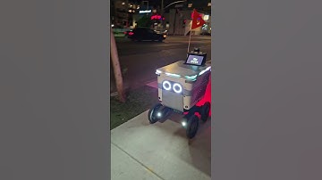 Meet Serve Robotics | The Future of Robotic Delivery Food 🤖🚀 #shorts #2025 @MiracleMiles