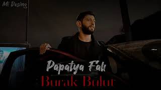 Burak Bulut - Papatya Falı #burakbulut Resimi