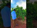 #chowdary03