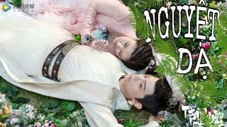 Download Nguyệt Dạ MP3 & MP4 - MetroLagu