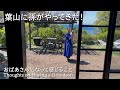 葉山に孫がやってきた!  おばあさんになって感じること Thoughts on Having a Grandson