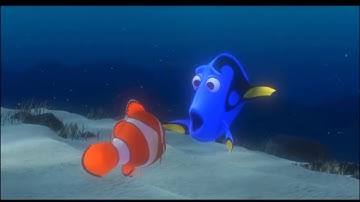 Dory Anterograde Amnesia