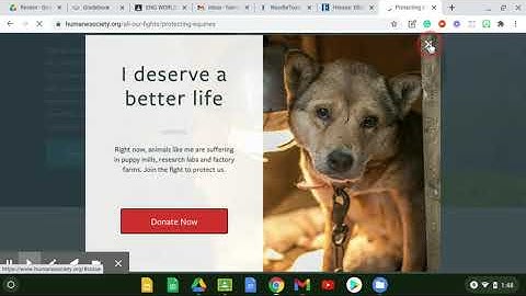 How to Create a Source in NoodleTools