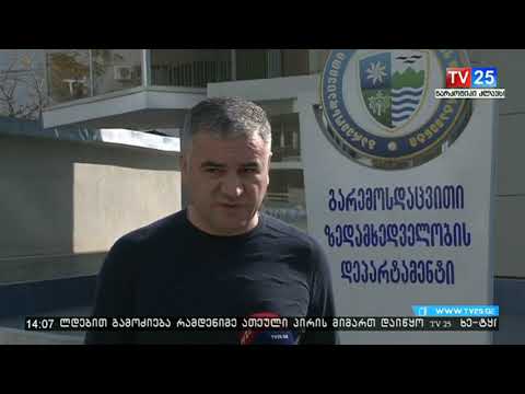 ოქტომბრის თვეში ხე ტყის უკანონო მოპოვებისა და ტრანსპორტირების 395 ფაქტი გამოვლინდა