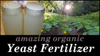 Yeast Fertilizer, an Organic Plant Grower!