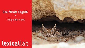 ONE-MINUTE ENGLISH: living under a rock LEARN WITH LEXICAL LAB