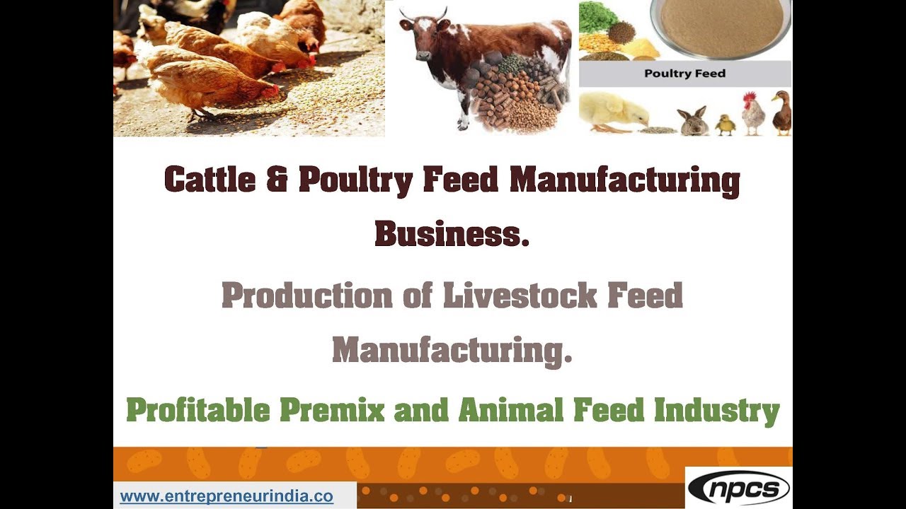 feed production business plan