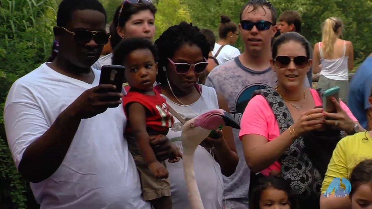 Holly Maloney Real Estate Agent YouTube