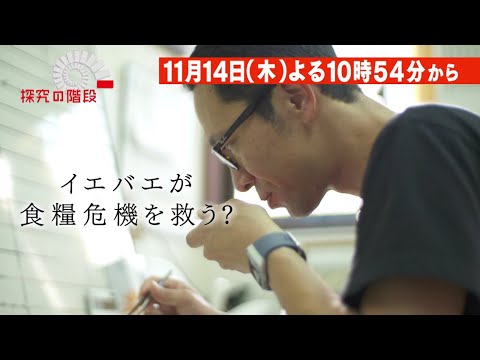 探究の階段#7