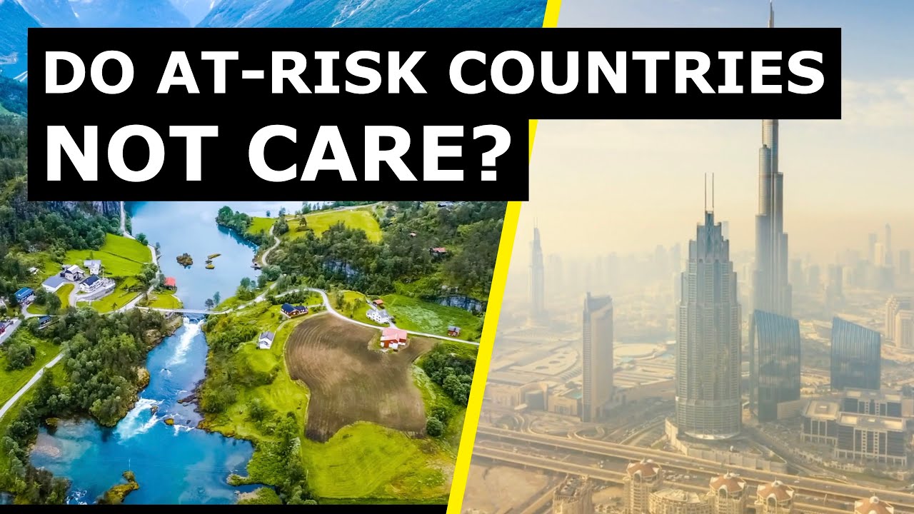 The Environmentalist Paradox