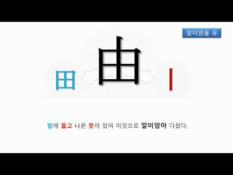 한자능력검정시험 준4급 한자로 똑똑한 두뇌만들기(由)_말미암을 유