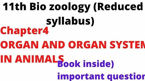 11th Bio zoology chapter 4 /Organ and organ system in animals