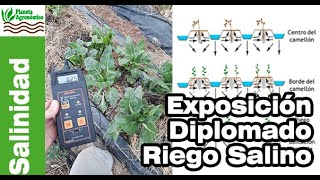 💧RIEGO SALINO 🥀 Presentación en el Diplomado de Sustentabilidad de Suelos y Aguas