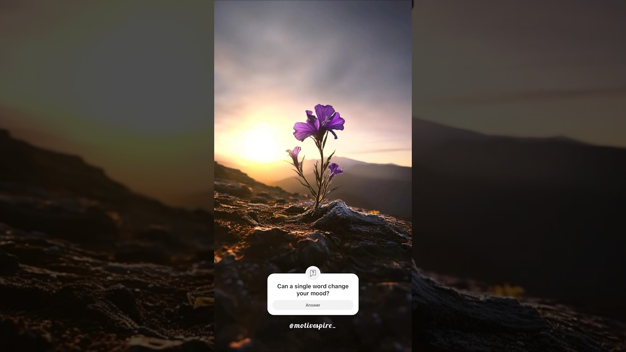 Symphony of Life: A Reel of Triumphs and Classics