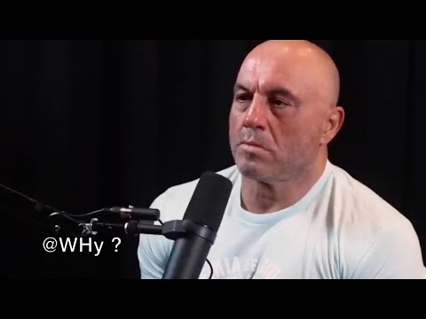 Joe Rogan loses his cool with Lex Fridman...