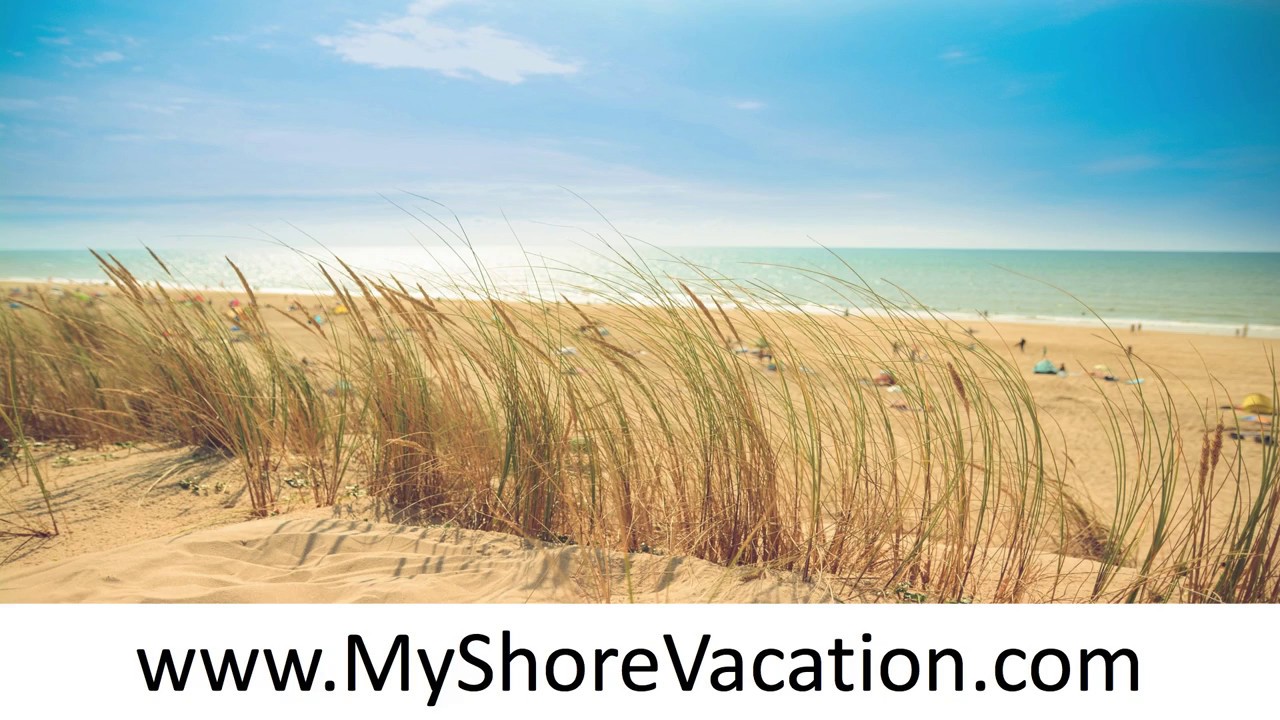 ☀️ Loveladies NJ Summer Rentals | ⏩ MyShoreVacation.com ⏪ | Loveladies NJ Rentals By Owner ☀️