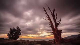 Terjemahan  Bahasa Indonesia Al Quran Juz 6