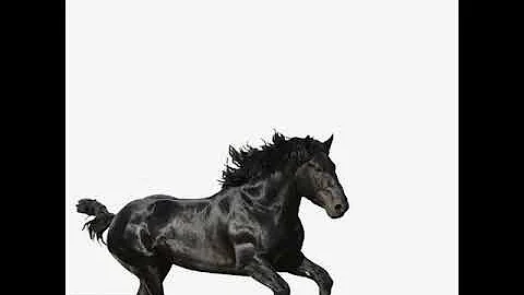 Lil Nas X - Old Town Road [MP3 Free Download]