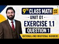 Class 9th Math New book Exercise 1.1 Question 1-9 Class Math E.X 1.1 Q1 Rational &amp; Irrational Number