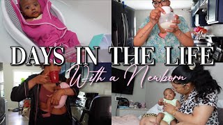Days in My Life with A Newborn As a First Time Stay at Home Mom