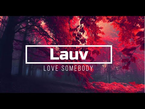 Lauv - Love Somebody 🎵 (Lyrics) - YouTube