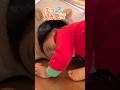猫の家に入る１歳児w