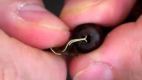 Dr. Joe Vitolo: Adjusting the flange on your oblique pen holder