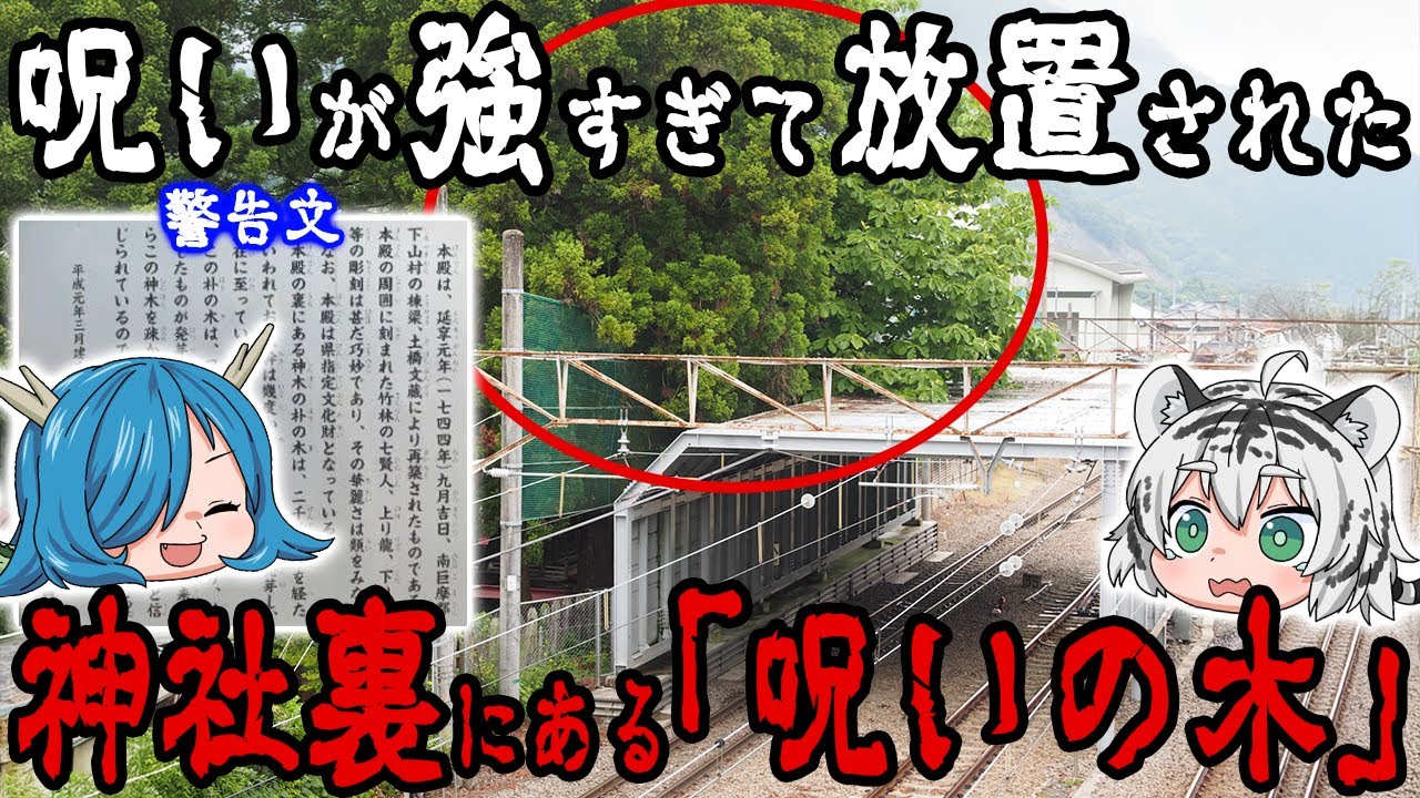 枝にも触れてはいけない！ 神社裏にある「呪いの木」について