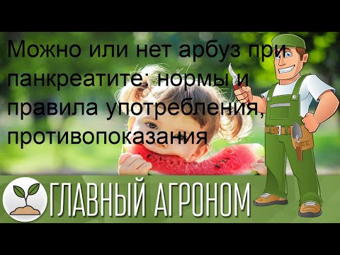 Можно или нет арбуз при панкреатите: нормы и правила употребления, противопоказания